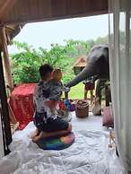 3pok resort Maewang jinxing