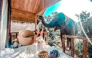 3pok resort Maewang jinxing