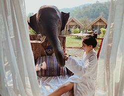 3pok resort Maewang jinxing