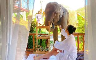 3pok resort Maewang jinxing