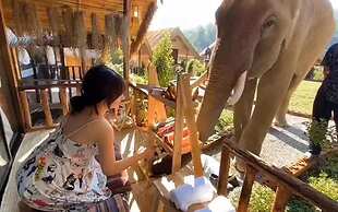 3pok resort Maewang jinxing