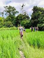 3pok resort Maewang jinxing