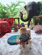 3pok resort Maewang jinxing