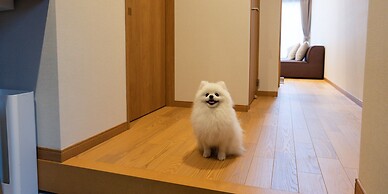 Rakuten STAY VILLA Yatsugatake