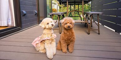 Rakuten STAY VILLA Yatsugatake