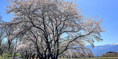 Rakuten STAY VILLA Yatsugatake