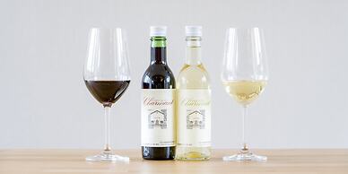 Rakuten STAY VILLA Yatsugatake