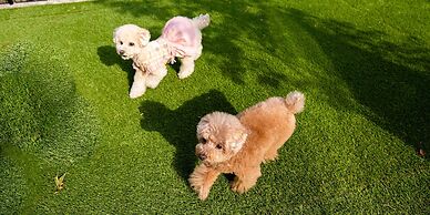 Rakuten STAY VILLA Yatsugatake