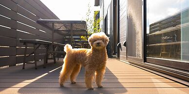 Rakuten STAY VILLA Yatsugatake