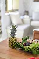 Villa Anthemion Naxos With Outdoor Jacuzzi