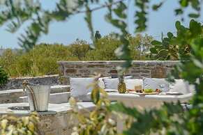 Villa Anthemion Naxos With Outdoor Jacuzzi