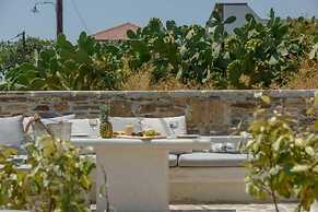 Villa Anthemion Naxos With Outdoor Jacuzzi