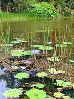 La Rocher Eco Retreat