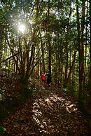 La Rocher Eco Retreat