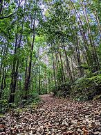 La Rocher Eco Retreat