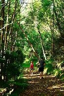 La Rocher Eco Retreat