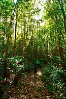 La Rocher Eco Retreat