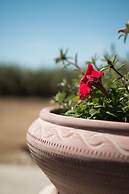 9 Muses Naxos beach hotel