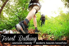 Forester's Retreat Glamping - Cambrian Mountains