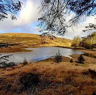 Forester's Retreat Glamping - Dinas View