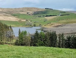 Forester's Retreat Glamping - Dinas View
