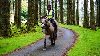 Forester's Retreat Glamping - Dinas View