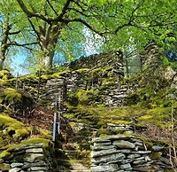 Forester's Retreat Glamping - Dinas View