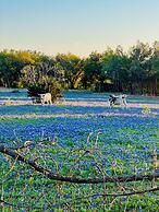 Winding River Panoramic Lookout