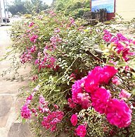 ARISTA HOMESTAY SAPA