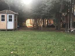 Wild Pines Cabins