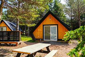Wild Pines Cabins