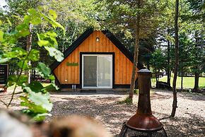 Wild Pines Cabins