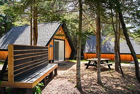 Wild Pines Cabins