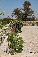 Rocks Naxian Villa With Private Pool