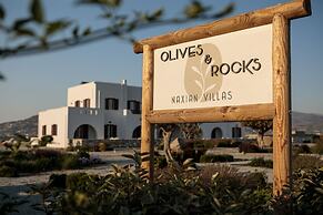 Rocks Naxian Villa With Private Pool