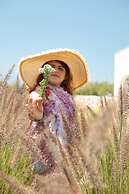 Rocks Naxian Villa With Private Pool