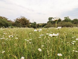 The Brambles