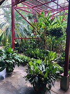 Hotel Del Aserradero