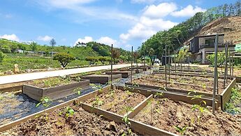 Chungnam Cheong-yang Ekohillinghauseu