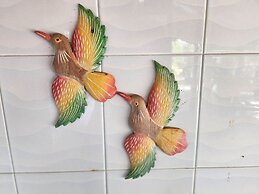 Banmae Resort Kohchang