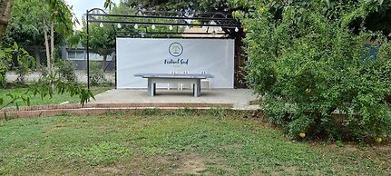 Le Gîte du Festival Sud