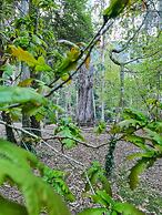 Duerming Ría de Viveiro Apartamentos