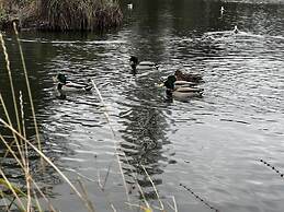 Charming 4-bed House in Cheltenham, Free Parking