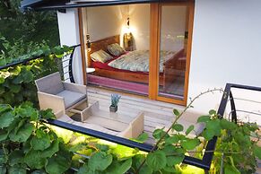 Vineyard cottage Sonce