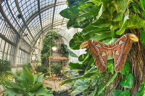 Cozy Designer 1BD Apartment in Heart of Vienna