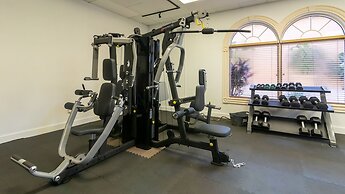 Mickey Mouse Cluff House