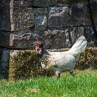 How Hill Farm Cottage