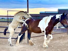 Teepee Lodge with Equus & Firearms/ranch