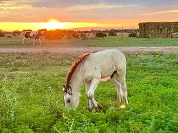 Teepee Lodge with Equus & Firearms/ranch
