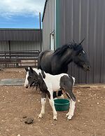 Teepee Lodge with Equus & Firearms/ranch